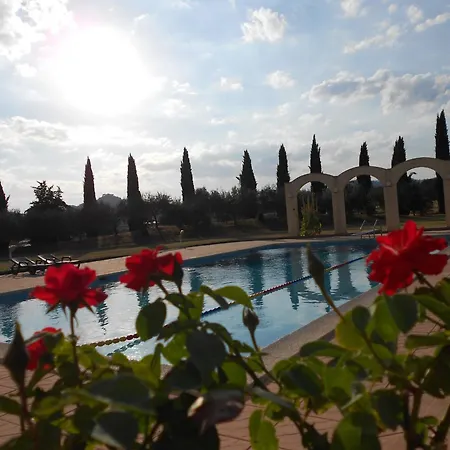 Vega Hotel 3*