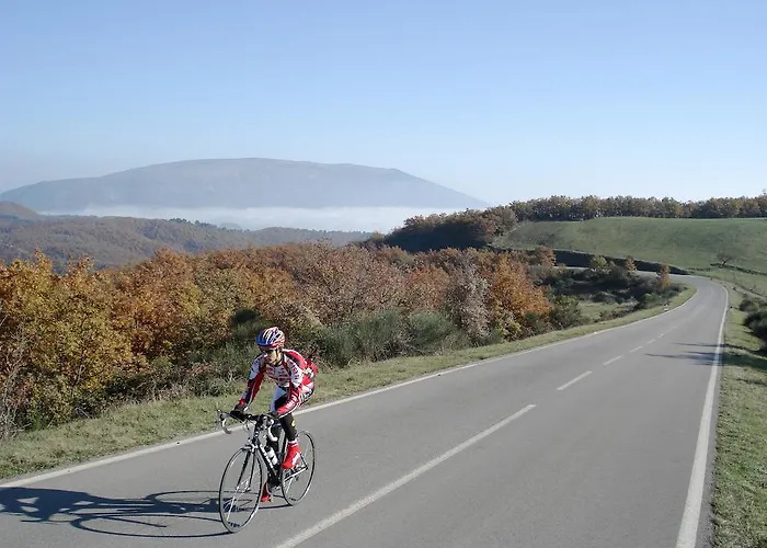 Ξενοδοχείο Vega