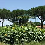 Vega 호텔 3*