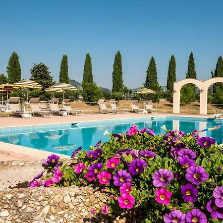 Vega فندق
