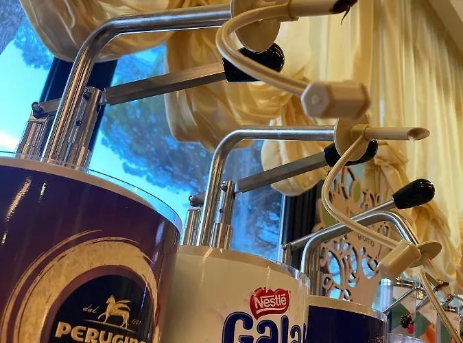 Vega فندق بيرودجا