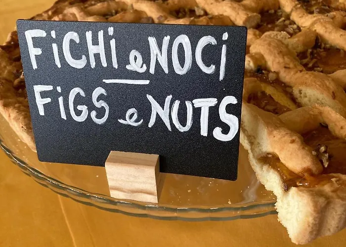 Vega 3* بيرودجا