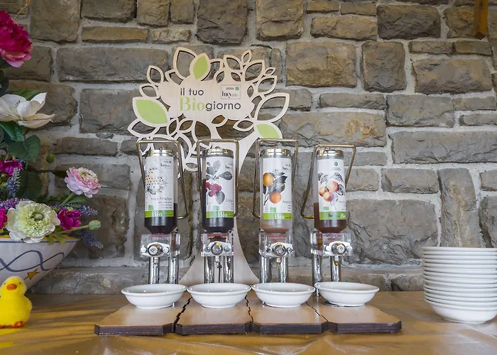 Vega 3* بيرودجا